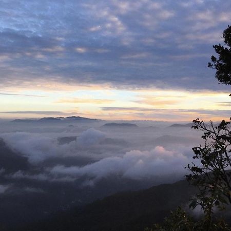 Wanakaset Forest Glamping 基图尔格勒 外观 照片