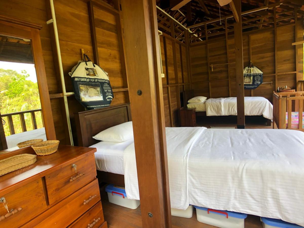 Wanakaset Forest Glamping 基图尔格勒 外观 照片