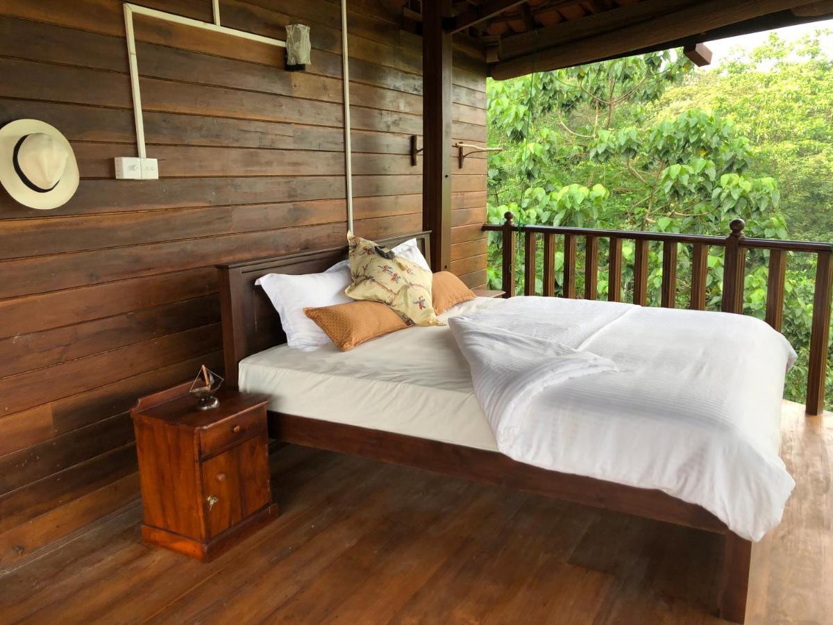 Wanakaset Forest Glamping 基图尔格勒 外观 照片