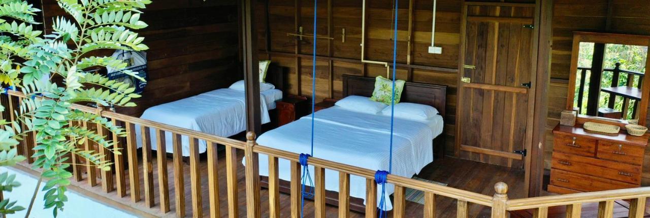 Wanakaset Forest Glamping 基图尔格勒 外观 照片