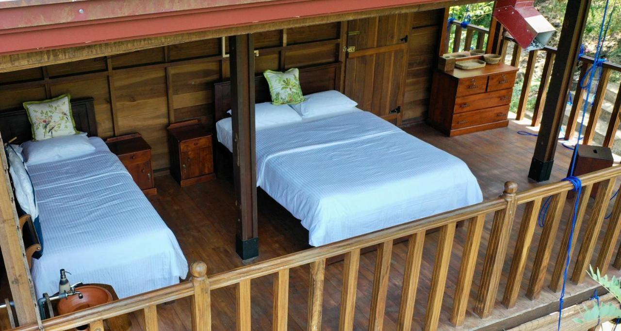Wanakaset Forest Glamping 基图尔格勒 外观 照片