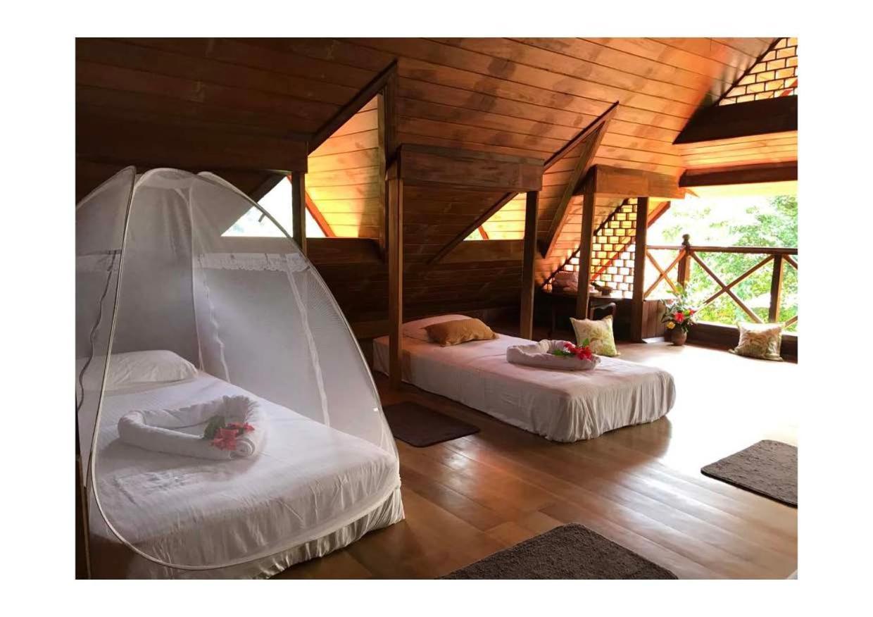 Wanakaset Forest Glamping 基图尔格勒 外观 照片