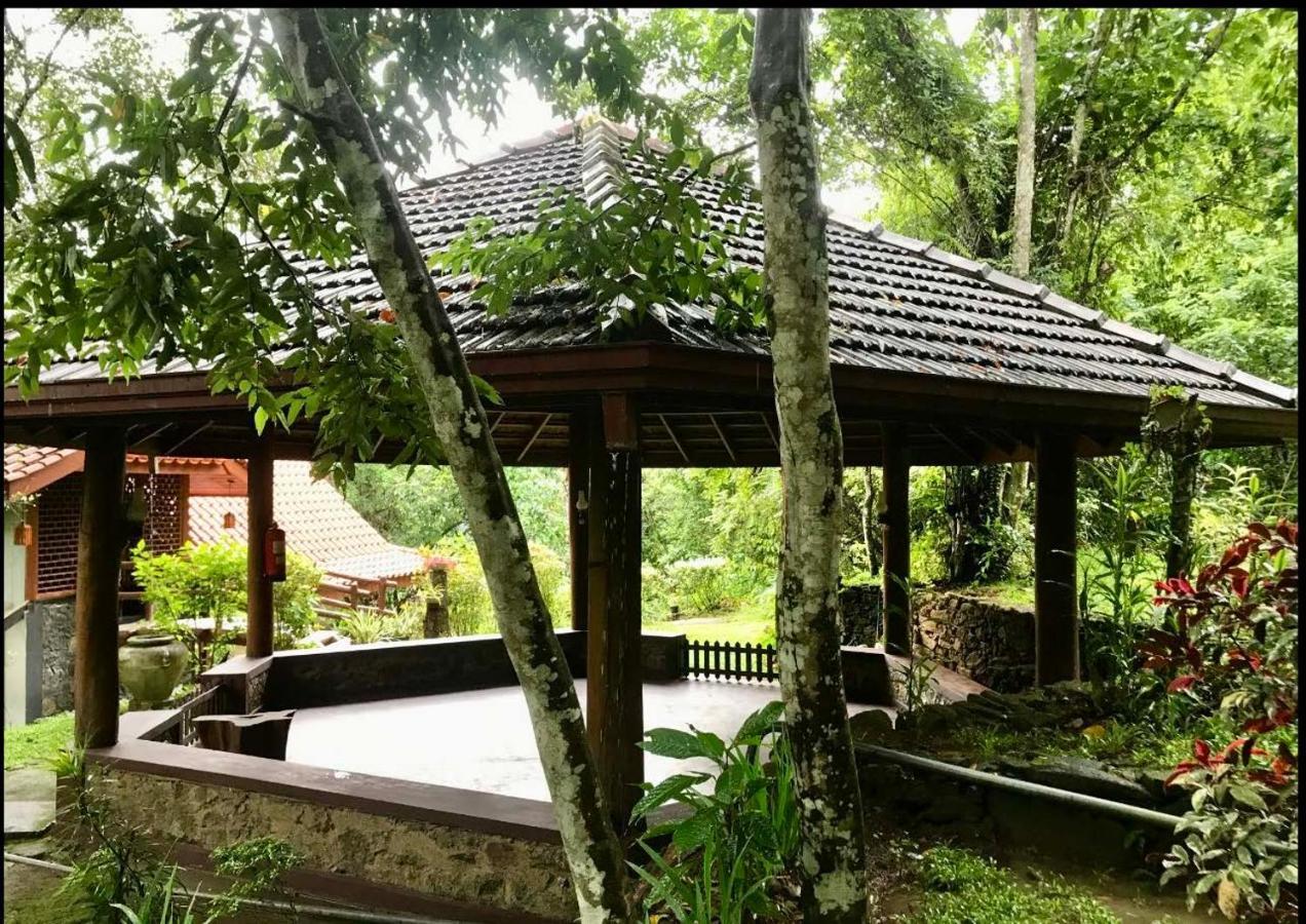 Wanakaset Forest Glamping 基图尔格勒 外观 照片
