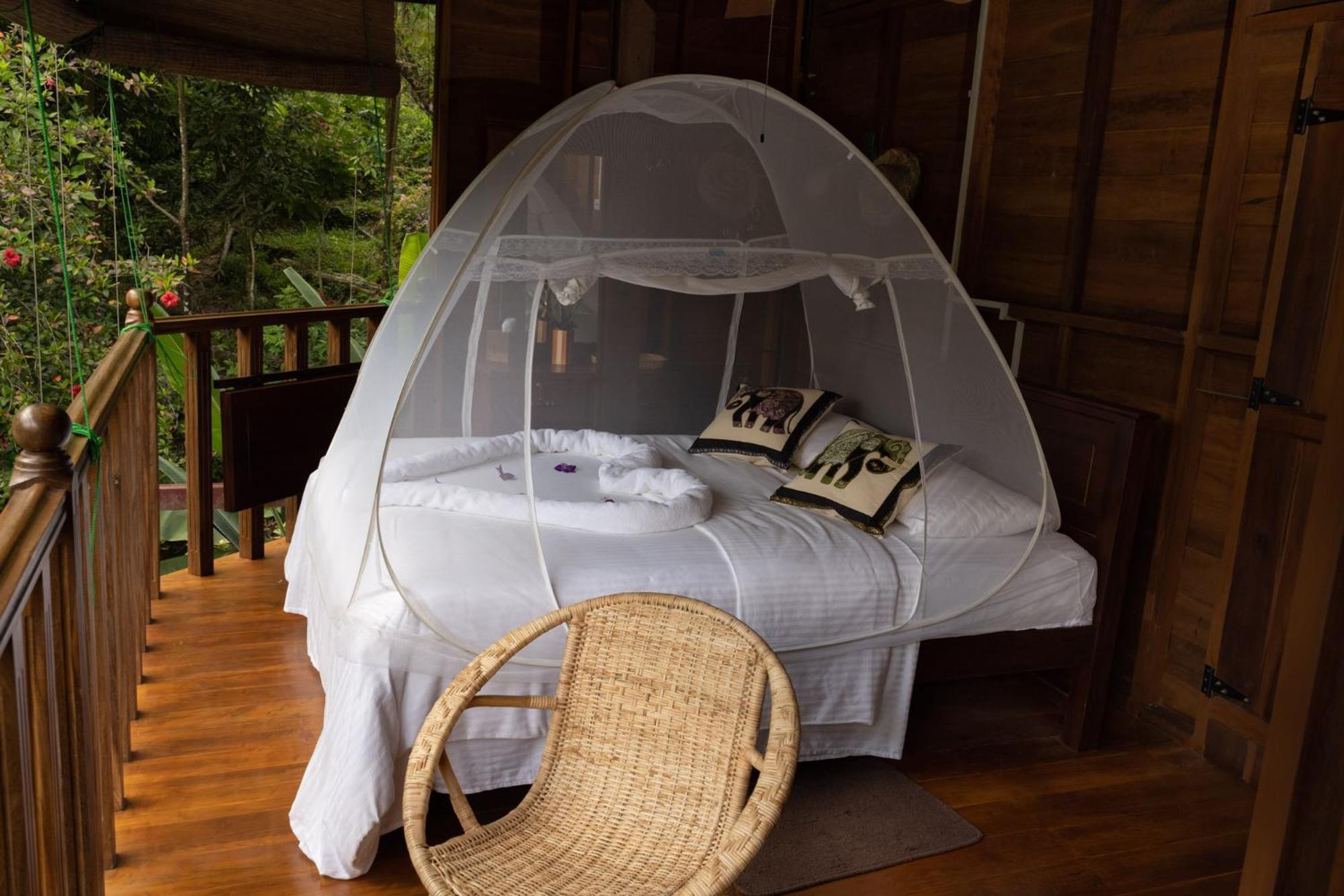 Wanakaset Forest Glamping 基图尔格勒 外观 照片