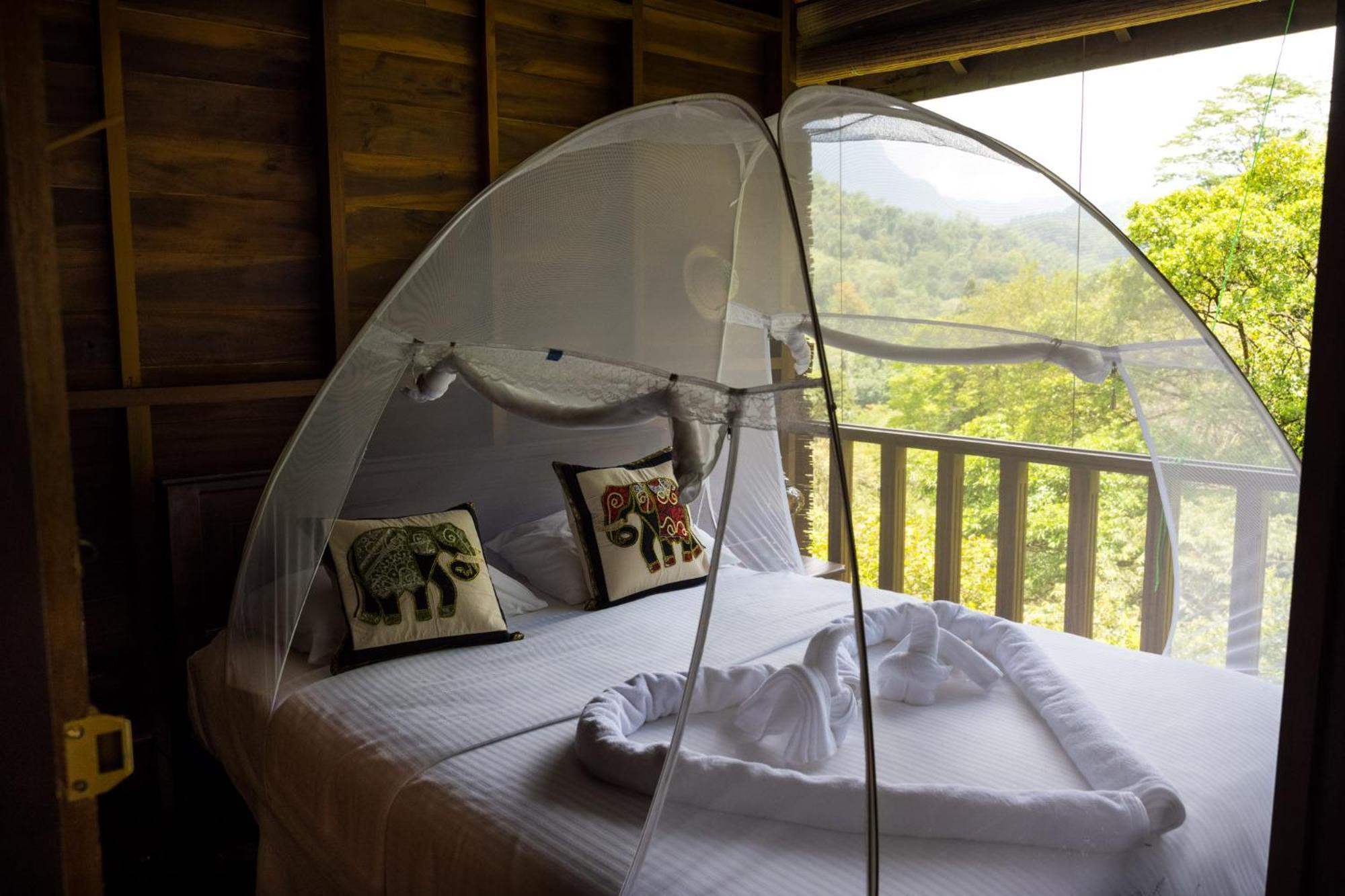 Wanakaset Forest Glamping 基图尔格勒 外观 照片