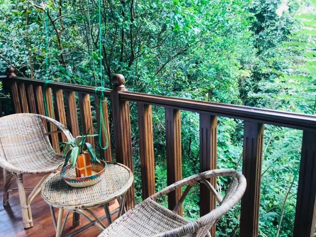 Wanakaset Forest Glamping 基图尔格勒 外观 照片