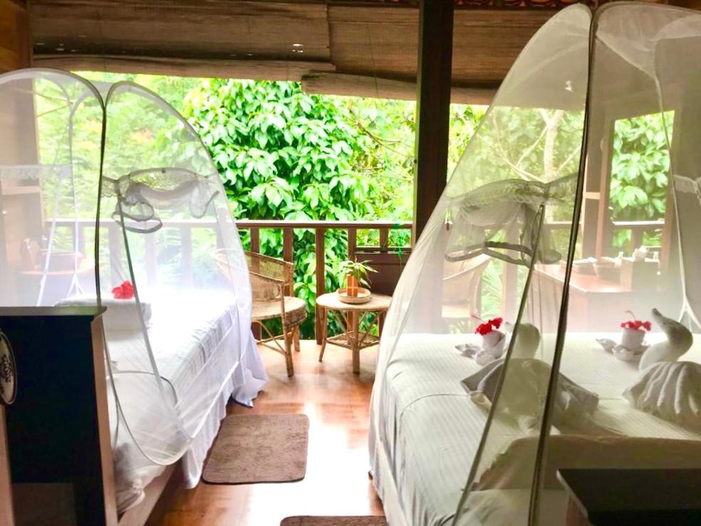 Wanakaset Forest Glamping 基图尔格勒 外观 照片
