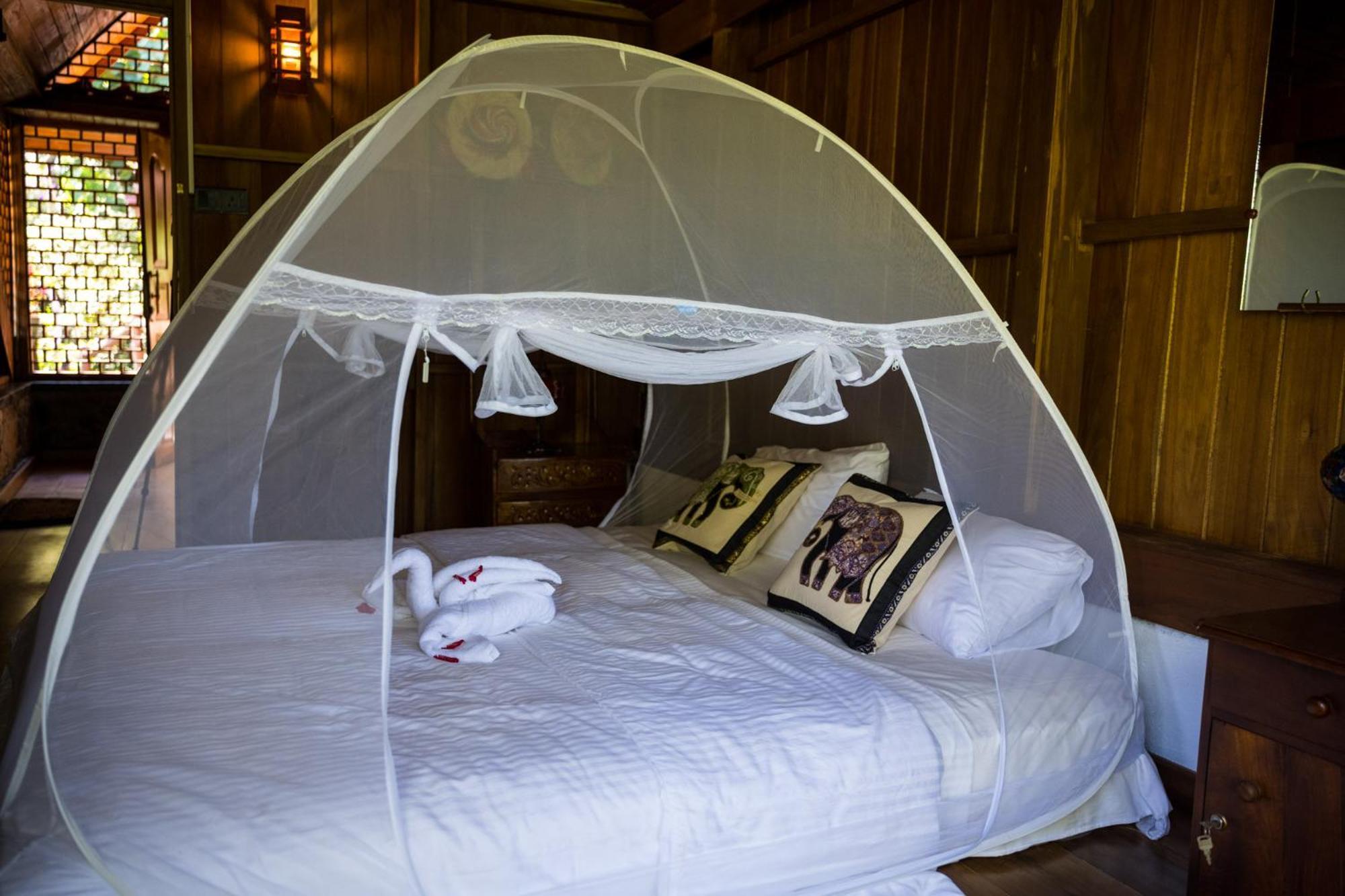 Wanakaset Forest Glamping 基图尔格勒 外观 照片