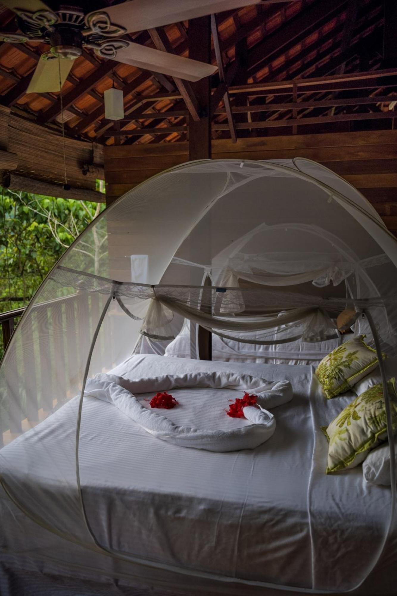 Wanakaset Forest Glamping 基图尔格勒 外观 照片