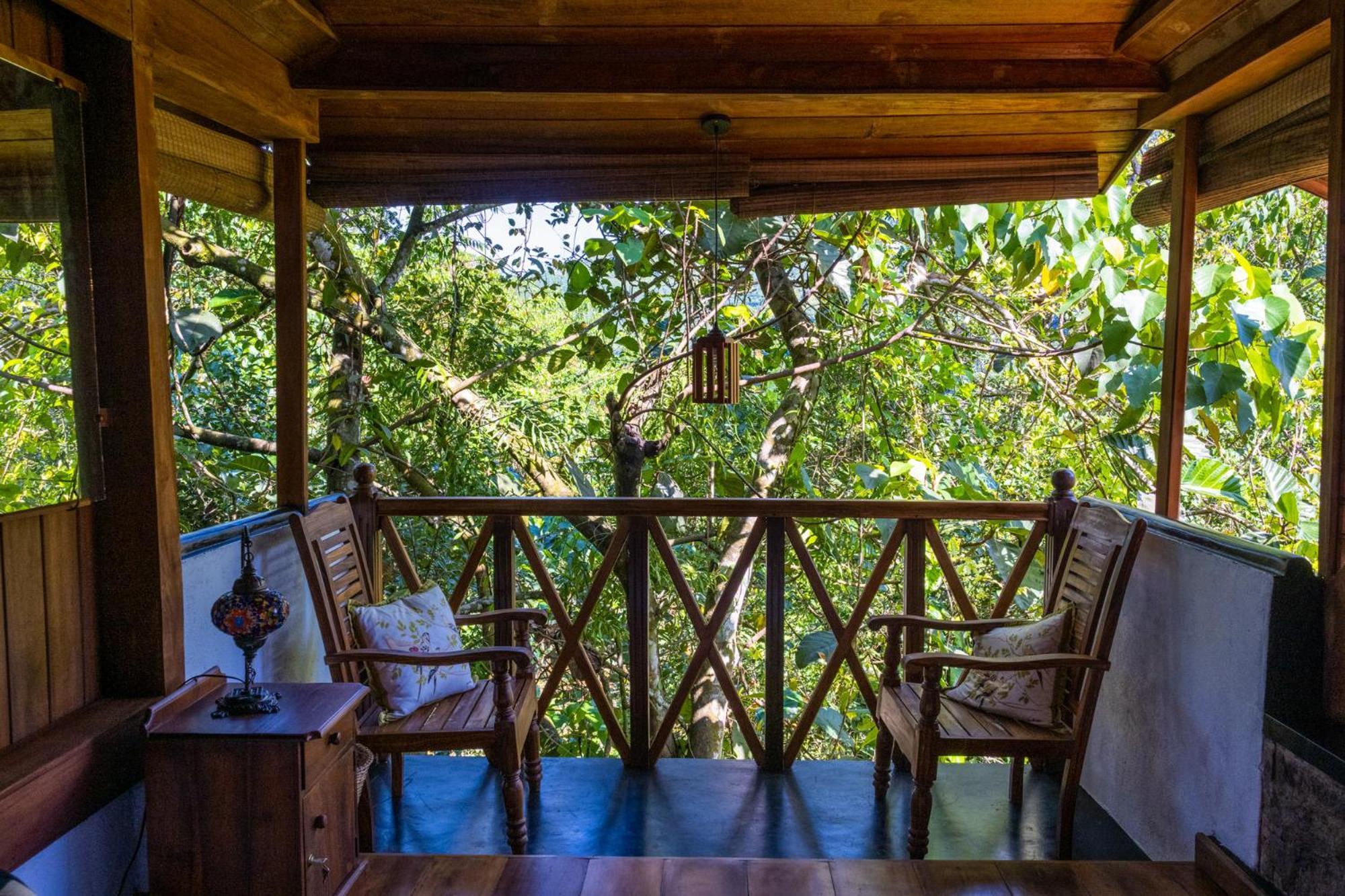Wanakaset Forest Glamping 基图尔格勒 外观 照片