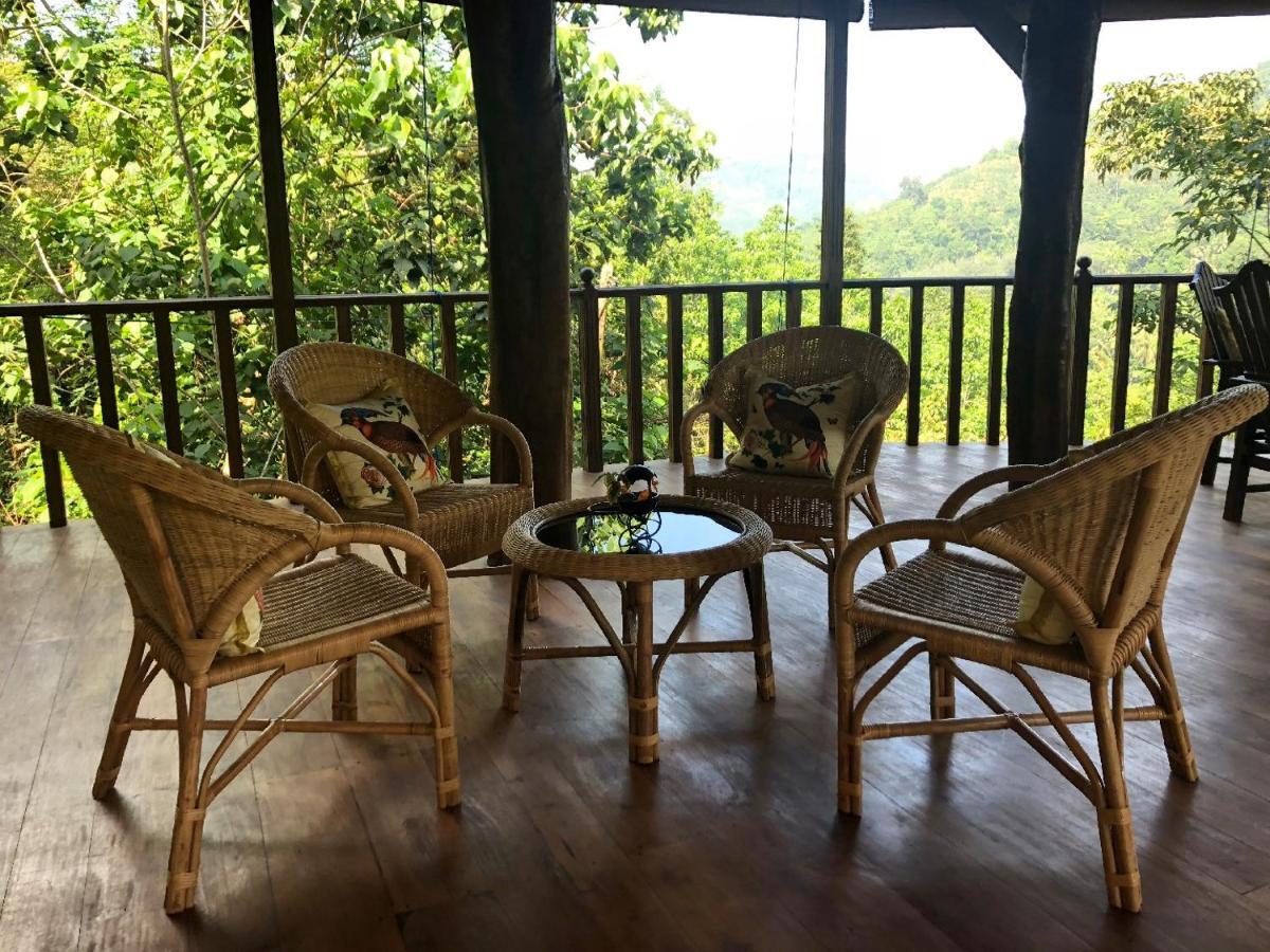 Wanakaset Forest Glamping 基图尔格勒 外观 照片